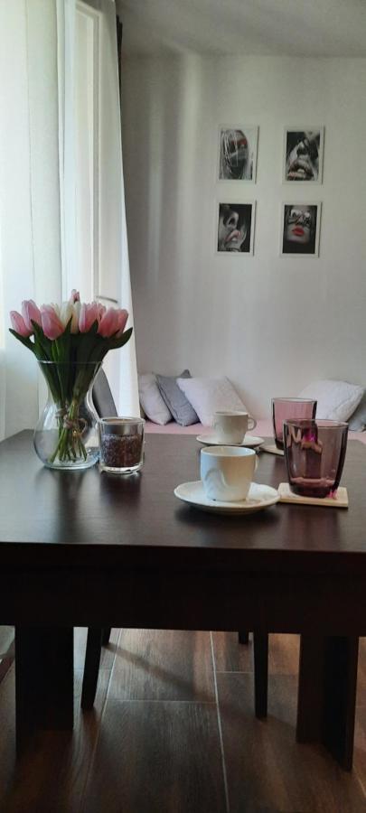 Ferienwohnung Stan Na Dan Dunja 2 Vrsac Exterior foto