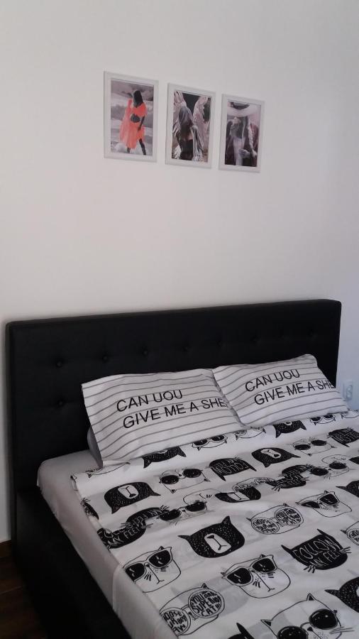 Ferienwohnung Stan Na Dan Dunja 2 Vrsac Exterior foto